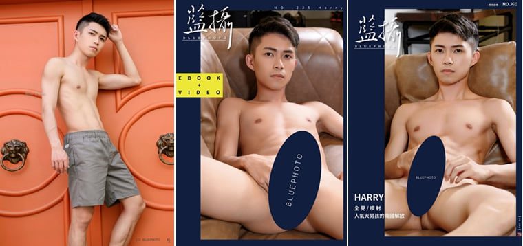 Bluephoto No.225 HARRY——Wanke Photo + Video