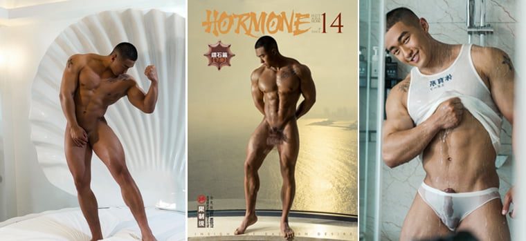 HORMONE NO.14 钻石篇-B——万客写真