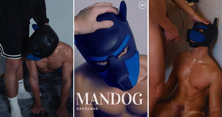 MANDOG シュシュ初の雄犬写真 - ワンケ写真