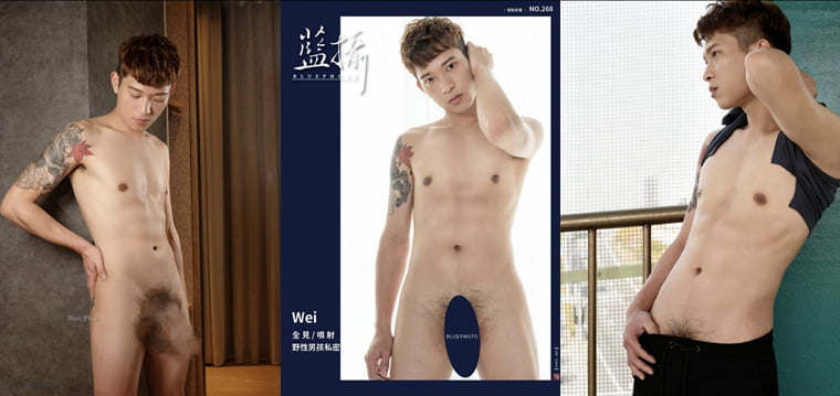 Bluephoto No.268 Wild boy เล่นกับ WEI ส่วนตัว - Wanke รูปภาพ + วิดีโอ