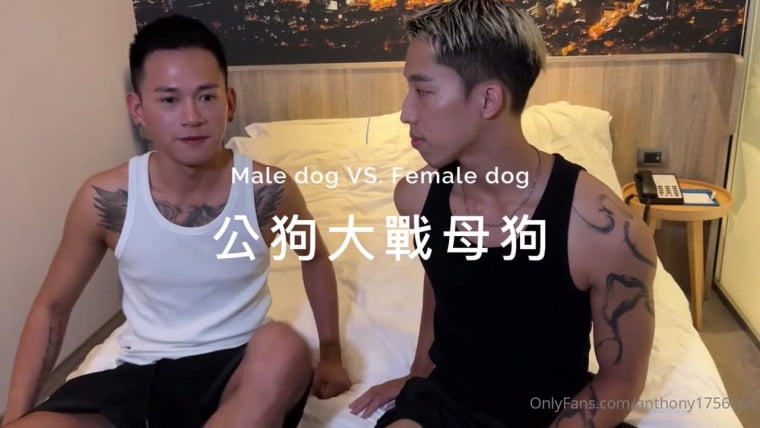 Male dog vs. female dog-YUKI & Tattooed Cumming Dog——Wanke Video