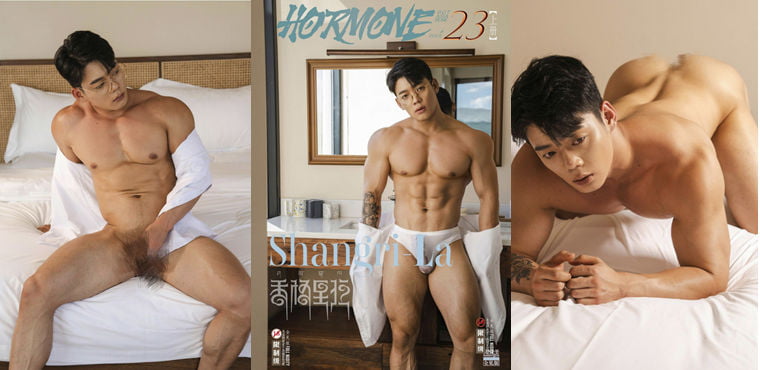 Ren Ren’s work HORMONE NO.23 A——Wanke photo + video