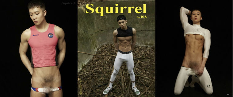 Squirrel No.10A——10000 Photos